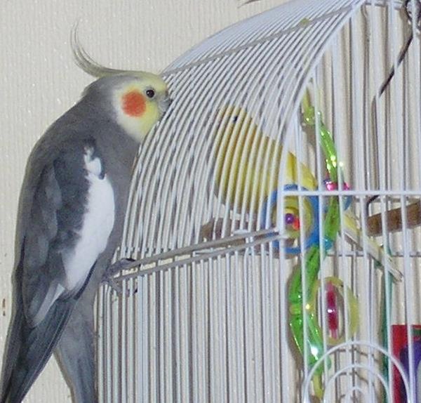 общаются.JPG (61.38 КБ) Просмотров: 4967 общаются.JPG