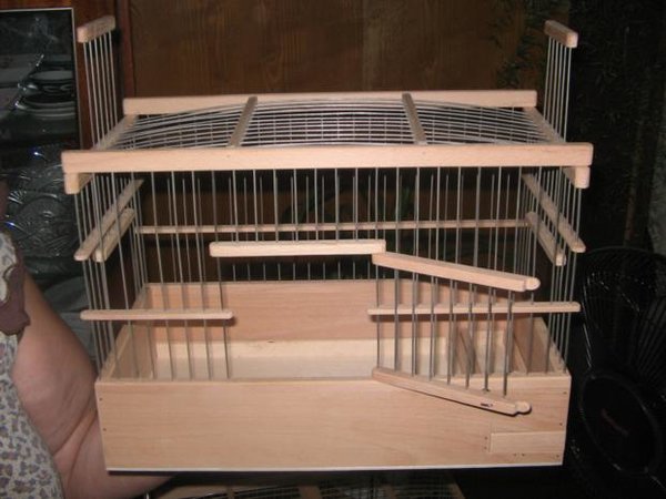 IMG_0005_621x466.JPG