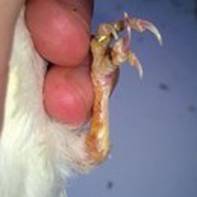 SavedImage(245).jpg
