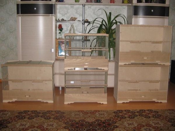 IMG_0008_621x466.JPG (42.58 КБ) Просмотров: 6502 IMG_0008_621x466.JPG