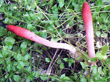 P1020113.JPG