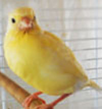 DSCN0464.JPG