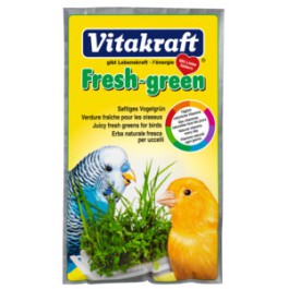 Fresh-Green.jpg