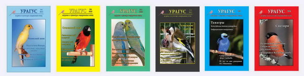 Выпуски за год.jpg (112.64 КБ) Просмотров: 15967 Выпуски за год.jpg