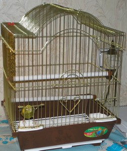 PB110012.jpg