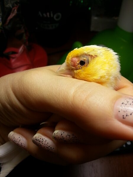 1.jpg (83.04 КБ) Просмотров: 9391 1.jpg