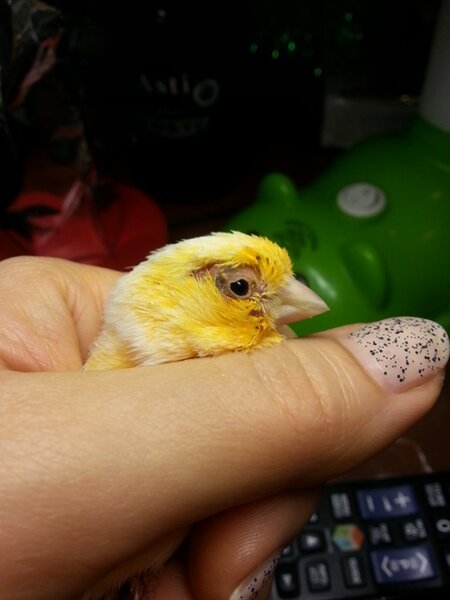 3.jpg (83.42 КБ) Просмотров: 9391 3.jpg