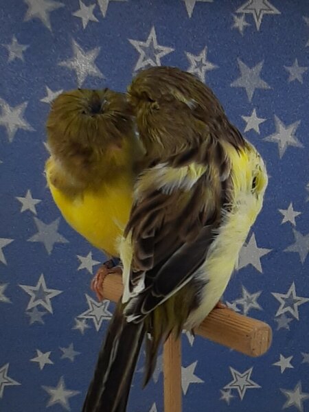 С-3.jpg (115.15 КБ) Просмотров: 6237 С-3.jpg