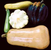 SquashVarieties.jpg