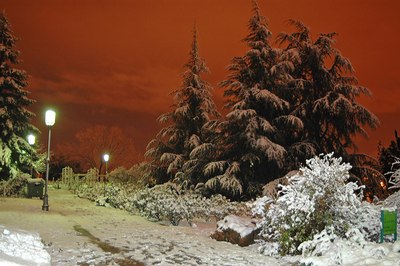 DSC_8459.jpg======4.jpg