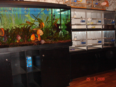 Изображение 037.jpg