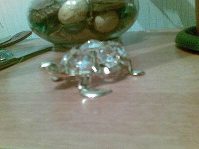 Мой любимый сувинир.jpg