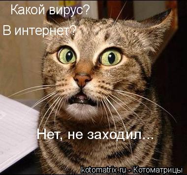 вирус.jpg