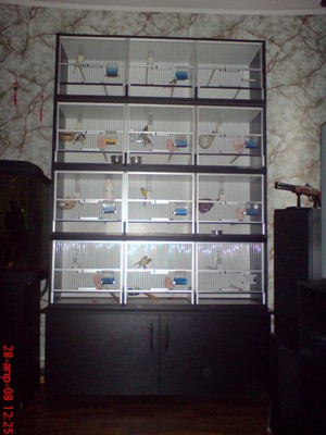 DSC00501.JPG