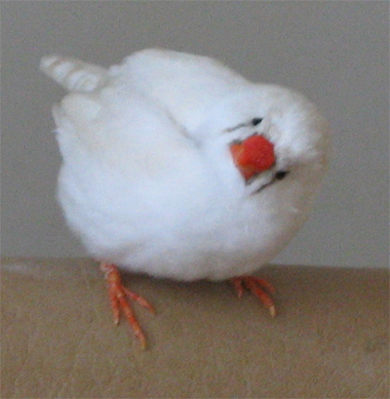 Untitled-1 copy.jpg