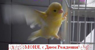 Изображение 007.jpg