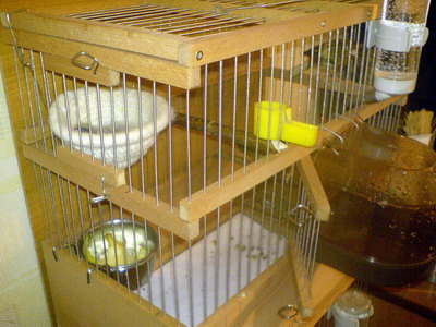 !DSC00551.jpg