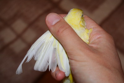 12 07 004_400.jpg