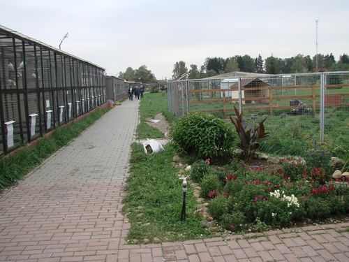 DSC06080.jpg