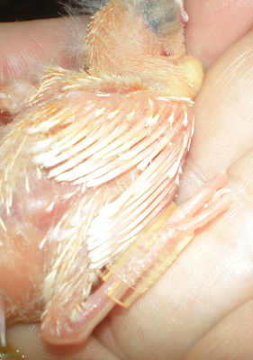 операция 002-1.jpg