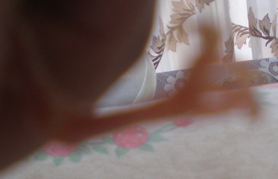 операция 001.jpg