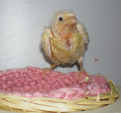 операция 003.jpg