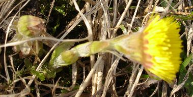 DSC04757 - копия.JPG
