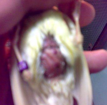 29052009123.jpg