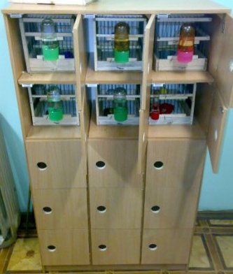03062009131.jpg