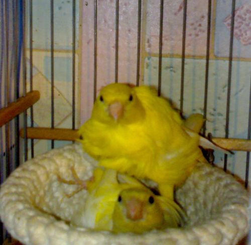 16112006395.jpg