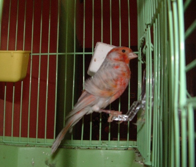 DSCF1184.JPG