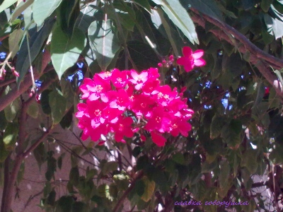 19032010_023.jpg