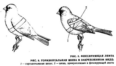 a9c509e88a37.jpg