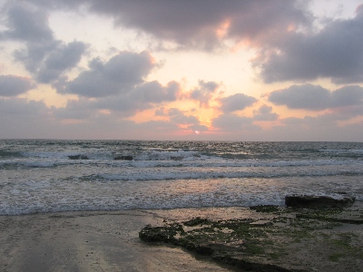 IMG_0406.JPG