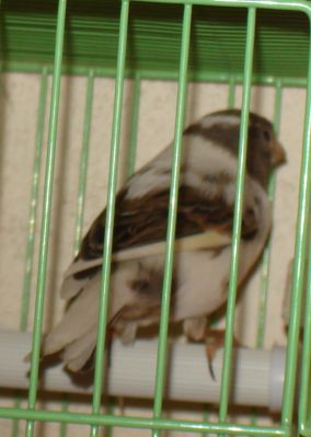 DSC03302.JPG