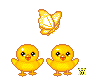 6455153538d7d98724cd43b7a9898a3a.gif