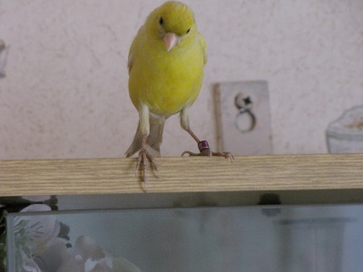img.jpg
