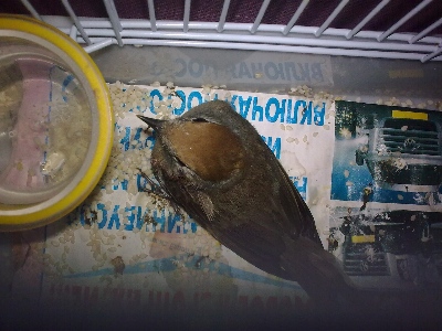 20042010_004.jpg