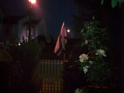 19042010_006.jpg