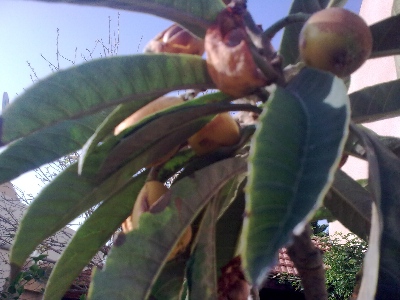 19042010_001.jpg