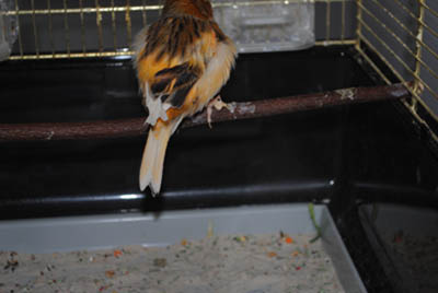 DSC_0118.JPG