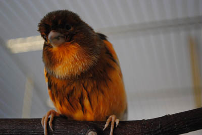 DSC_0091.JPG