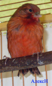 2esk_002.jpg