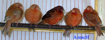 2esk_004.jpg