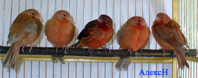 2esk_003.jpg