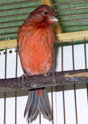 2esk_007_k1.jpg