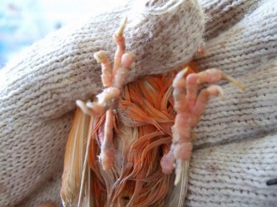 20100725003.jpg