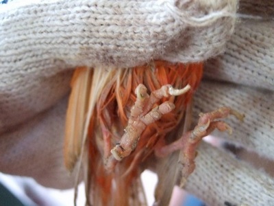 20100725002.jpg