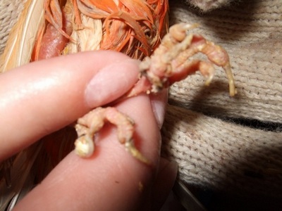 20100725001.jpg