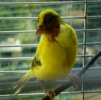 P1000730.jpg